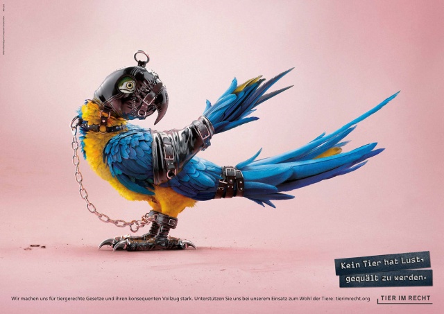 No Animal Wants To Be Tortured. Ad Campaign Against Animal Abuse