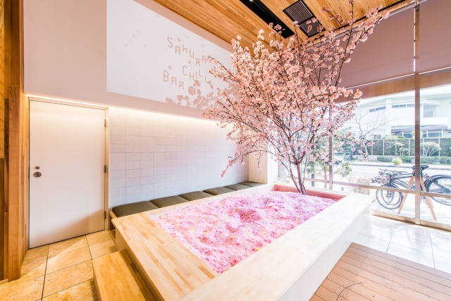 Cherry Blossom Bar In Tokyo