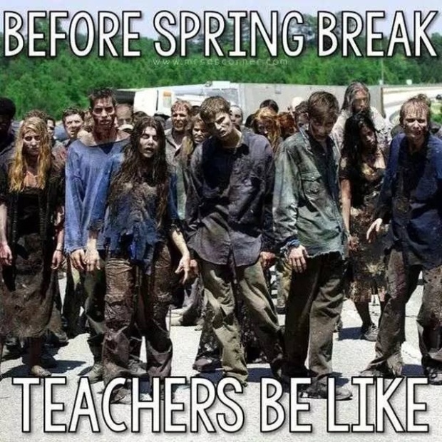 Teacher Memes, part 2