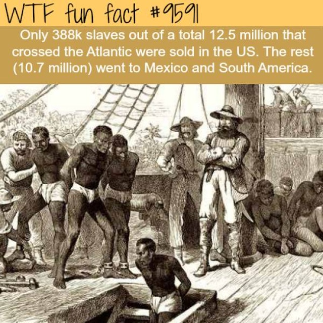 Another Selection Of Interesting Facts