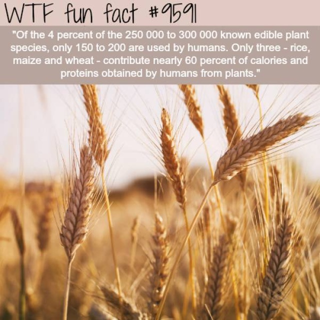 Another Selection Of Interesting Facts