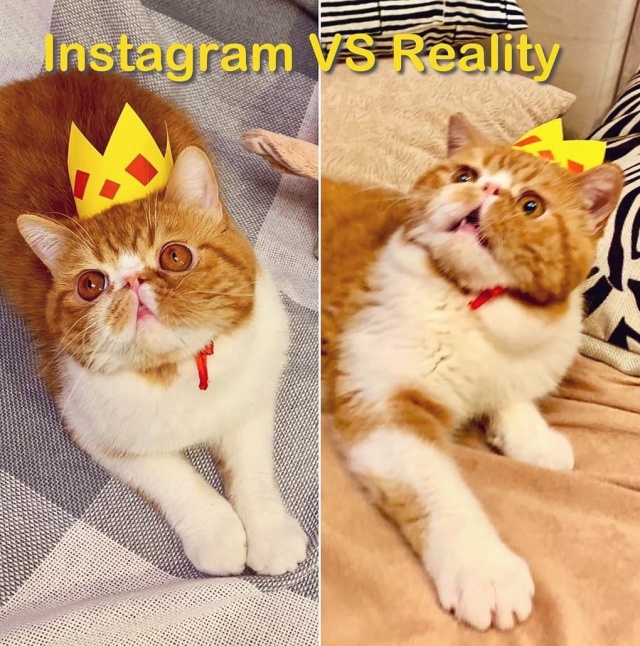 Instagram Vs Reality, part 3