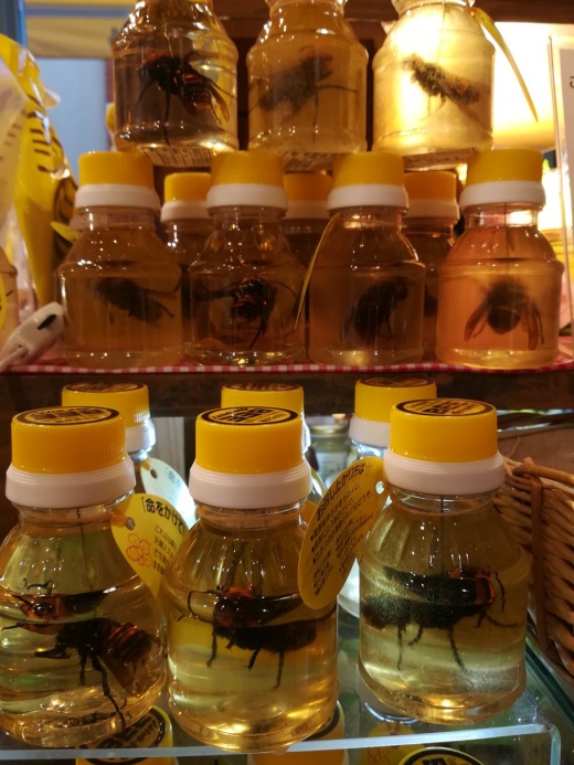 Honey With Hornets From Japan