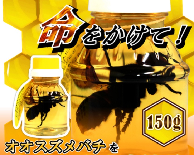 Honey With Hornets From Japan