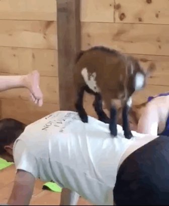 Goat Parkour