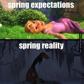 Spring Is Coming Memes