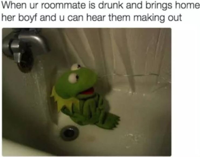 Living With Roommates Memes