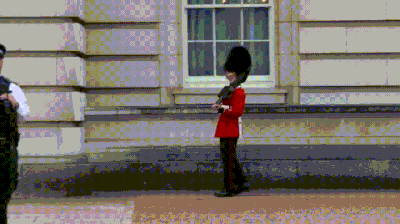The Queen’s Guard GIFs