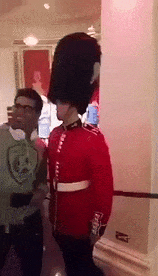 The Queen’s Guard GIFs