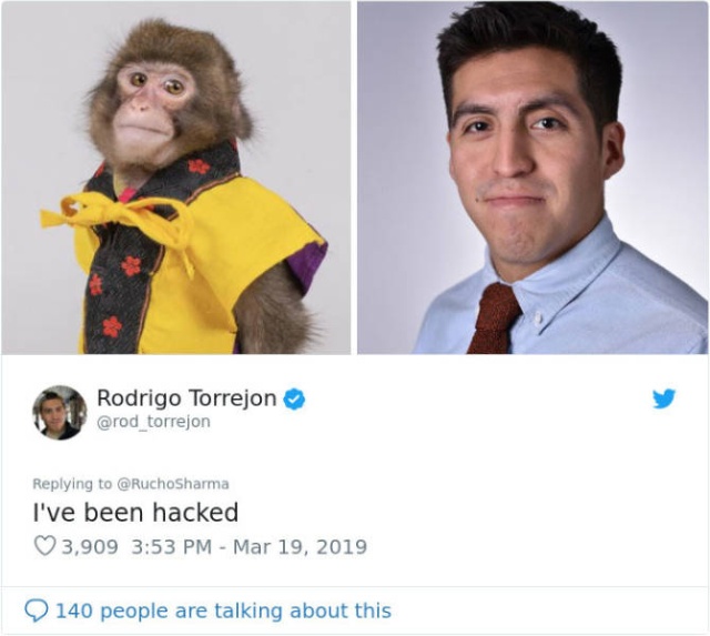 Monkey Looks Like A Journalist