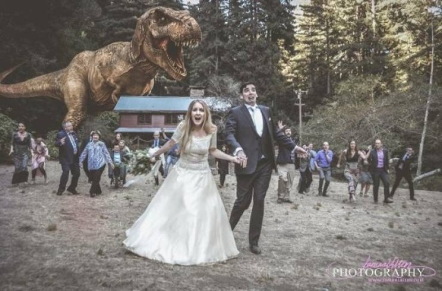 Funny Wedding Photos, part 6