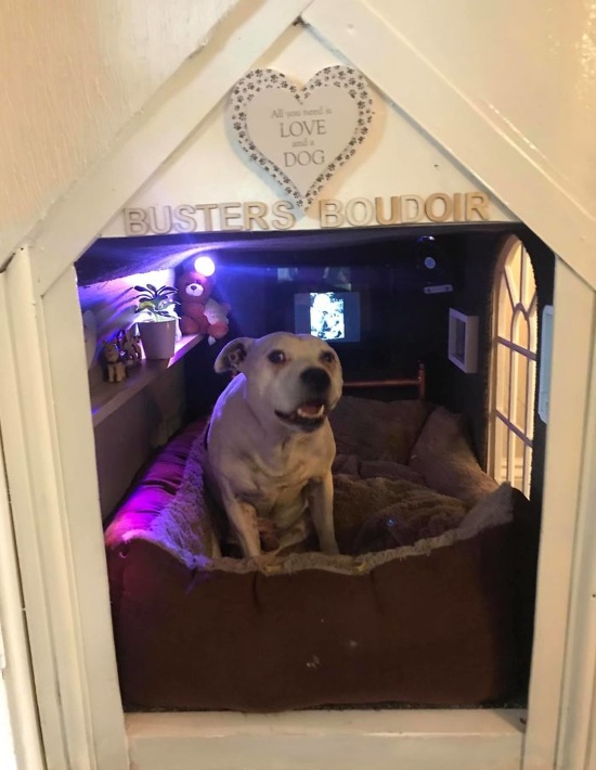 DIY Dog House, part 2