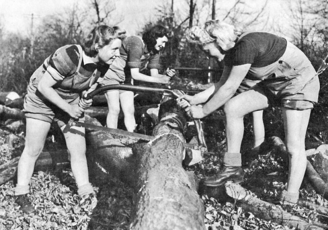 Lumberjack Women During World War II