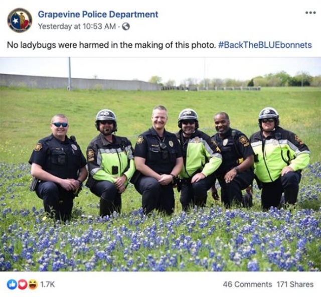 Texas Police In A New Bluebonnet Challenge