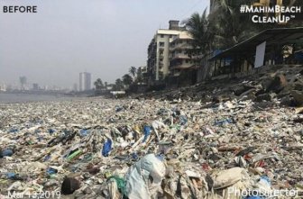 The Mahim Beach Cleanup In Mumbai Cleared About 700 Tons Of Plastic