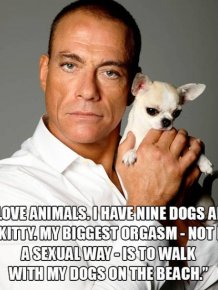 Jean Claude Van Damme Quotes That Don't Seem To Be Real