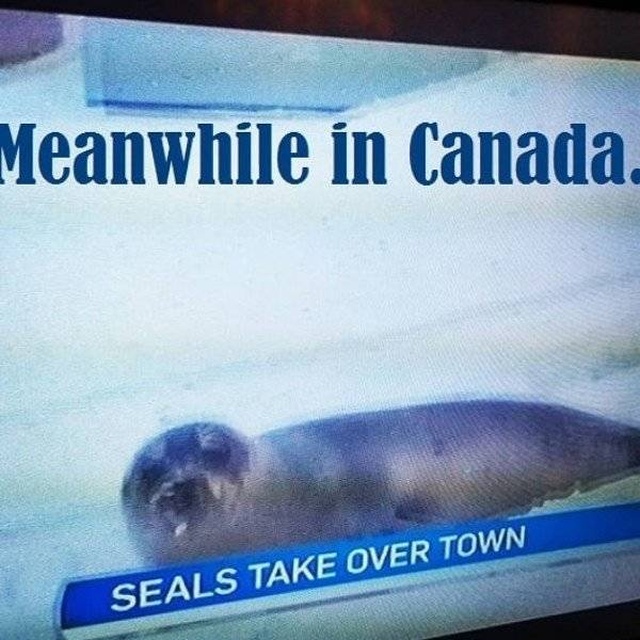 Only In Canada, part 7