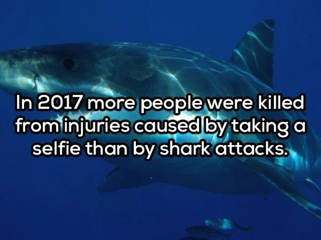 Interesting Facts, part 63