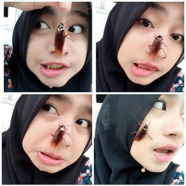 Selfie With Cockroaches On Face Is A New Challenge
