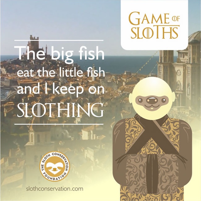 Game Of Sloths