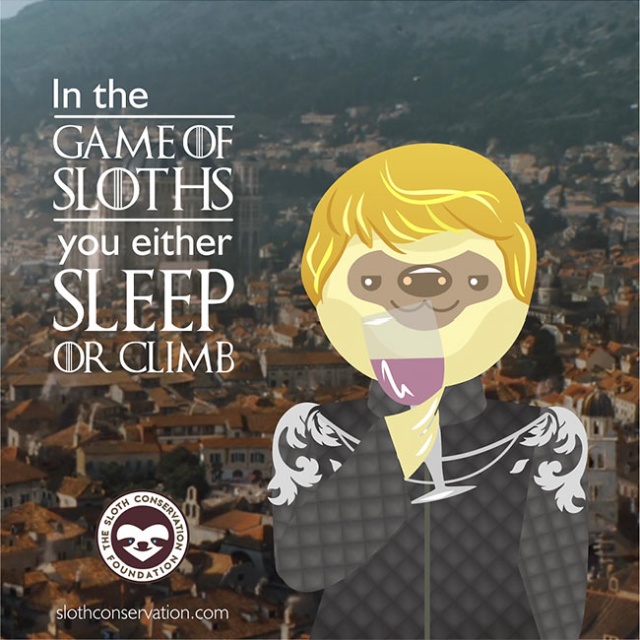 Game Of Sloths