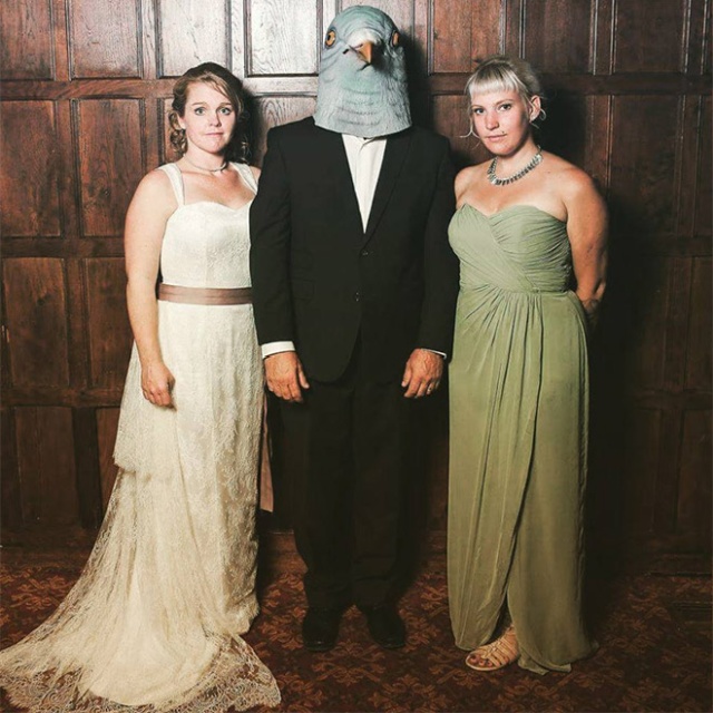 People In Pigeon Masks