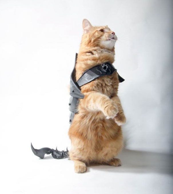 3D Printed Armor For A Cat