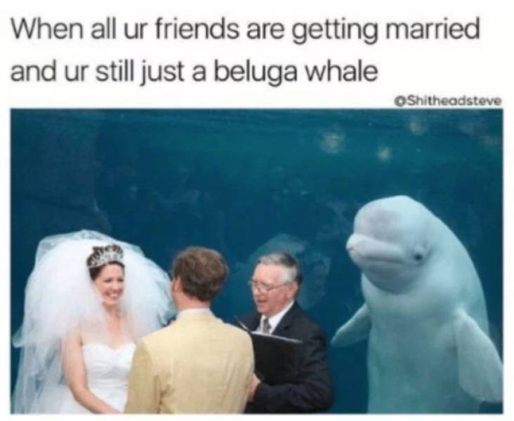 Wedding Party Memes