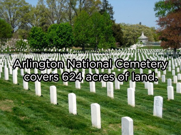 Interesting Facts About Arlington Cemetery