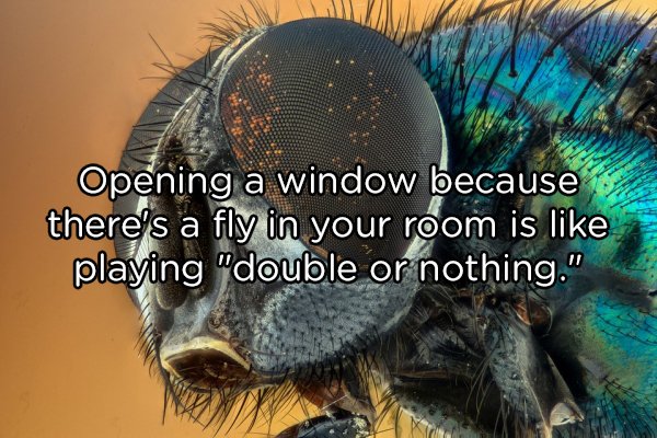 Shower Thoughts, part 80