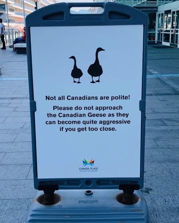 Welcome To Canada, part 2