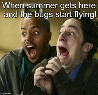 Get Ready For The Summer With This Summer Memes