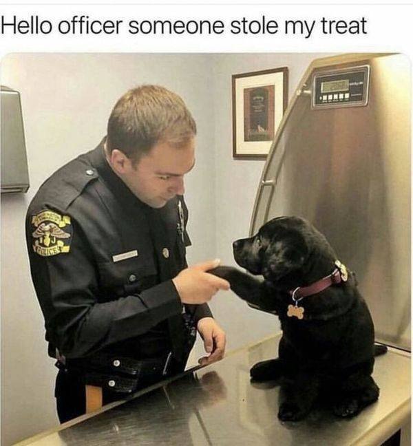 Police Has Fun