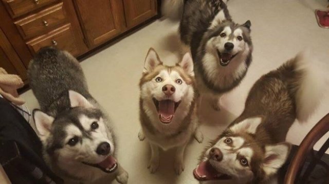 These Photos Will Make You Smile