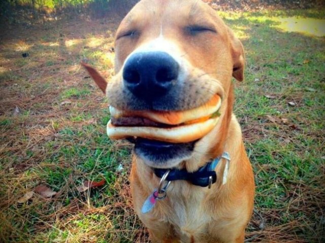 These Photos Will Make You Smile