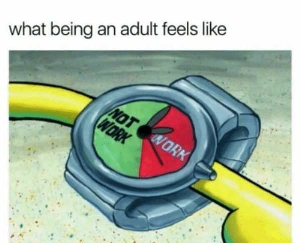 Being Adult Kind Of Sucks