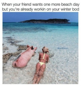 Summer Vacation Memes