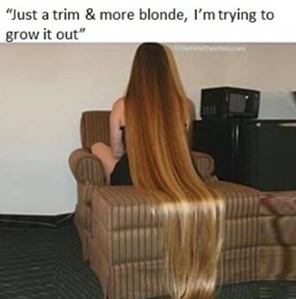 Hairdresser Memes