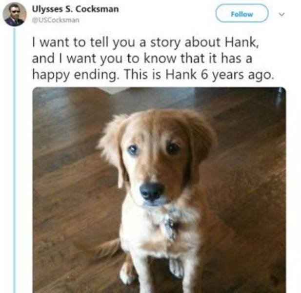 Hank Is A Hero