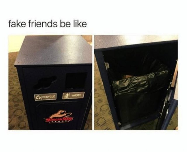 Memes About Fake Friends