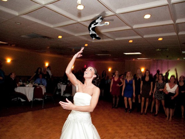 Bridal Bouquets Replaced With Cats
