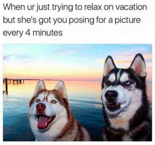 Vacation Memes, part 2