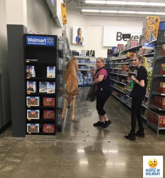 Only In Walmart, part 3