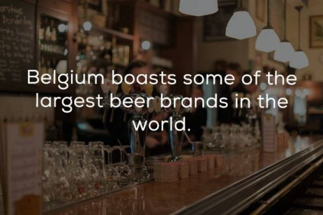 Beer Facts