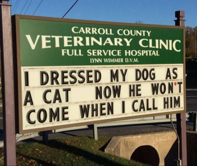 Cat Jokes By Vet Clinics