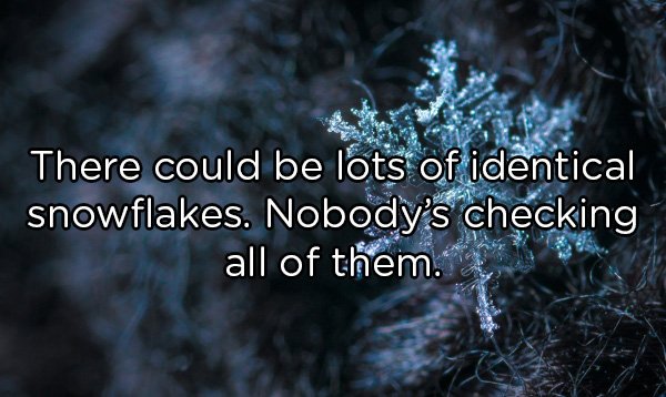 Shower Thoughts, part 82