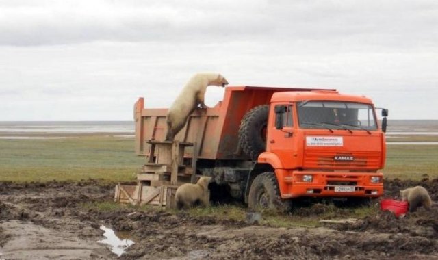Only In Russia, part 43