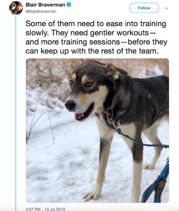 Sled Dogs Have A Lot To Teach About Body Positivity