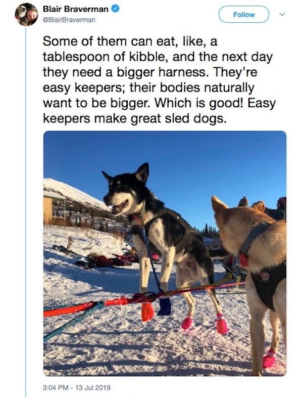 Sled Dogs Have A Lot To Teach About Body Positivity