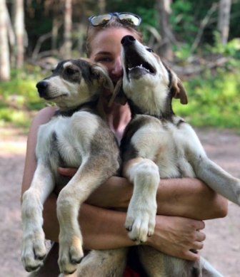 Sled Dogs Have A Lot To Teach About Body Positivity